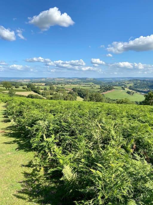 The Mill Stylish Rural Apartment With Beautiful Views Welsh Newton Common Luaran gambar
