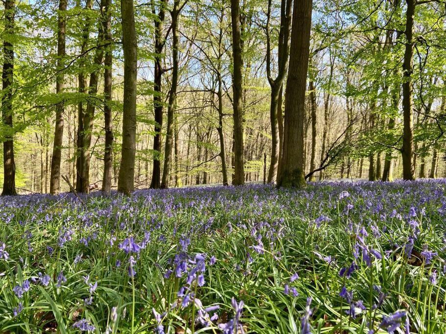 The Mill Stylish Rural Apartment With Beautiful Views Welsh Newton Common Luaran gambar