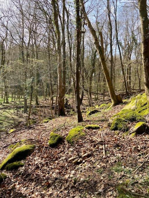 The Mill Stylish Rural Apartment With Beautiful Views Welsh Newton Common Luaran gambar