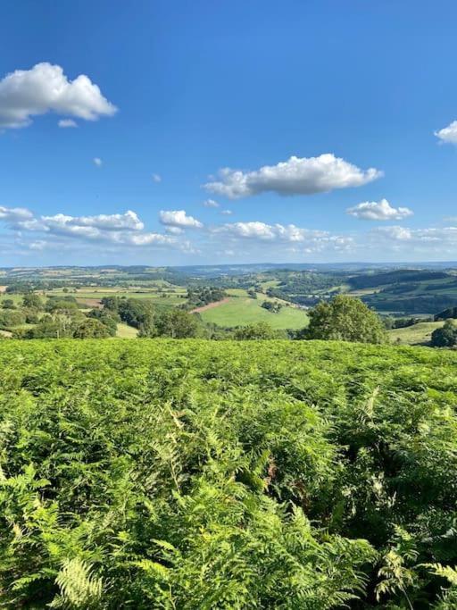 The Mill Stylish Rural Apartment With Beautiful Views Welsh Newton Common Luaran gambar